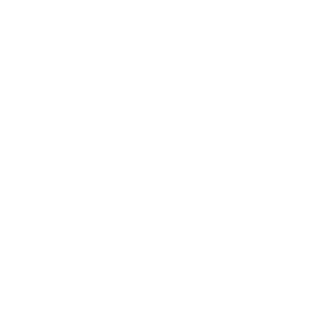Logo Vita Sophia