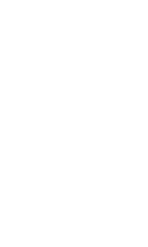 Logo del Desarrollo